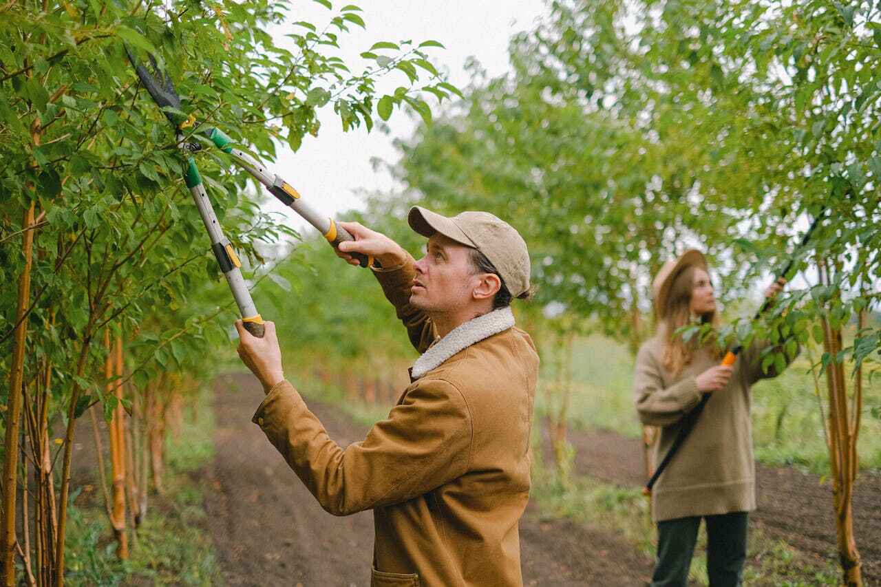 Best Tree Care Services  in Tamiami, FL